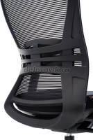 DSC_92093_1000 рис3