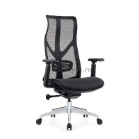 DSC_9733_1000 рис1