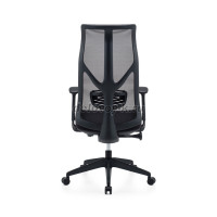 DSC_4120_1000 рис2