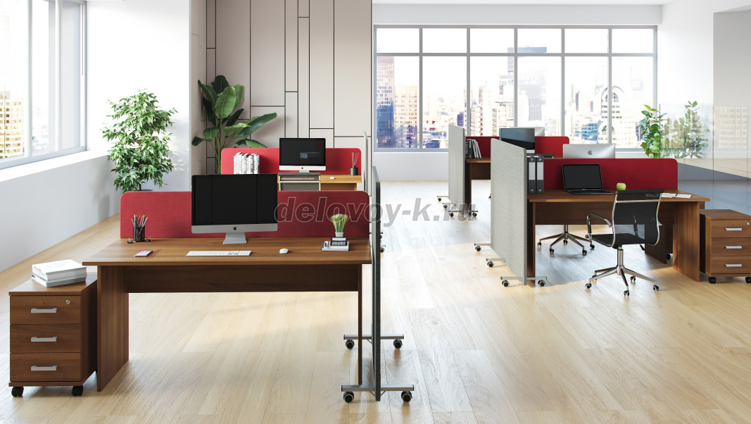 SOFToffice фото 2