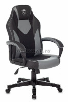 1609509_v01_b_1000 рис1