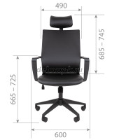 CHAIRMAN_545_s1 рис2