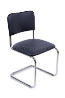 Сильвия рис1