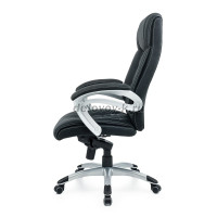 DSC_4148_1000.jpg рис3