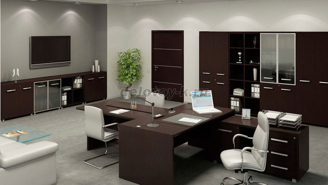 Дипломат фото 1